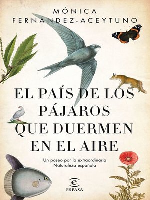 cover image of El país de los pájaros que duermen en el aire